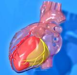 La enfermedad renal en pacientes con dolor torácico de origen coronario incrementa el riesgo de mortalidad